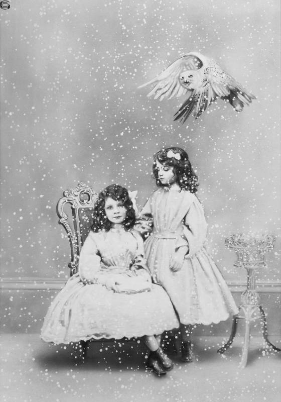 Sisters and Snowy Owl