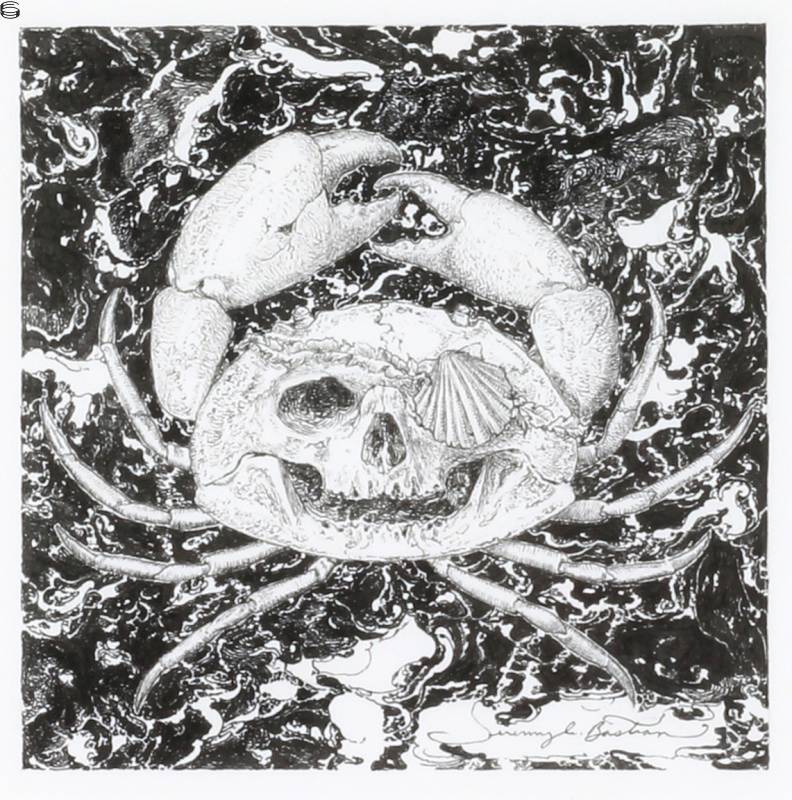Skull Crab no. 19
