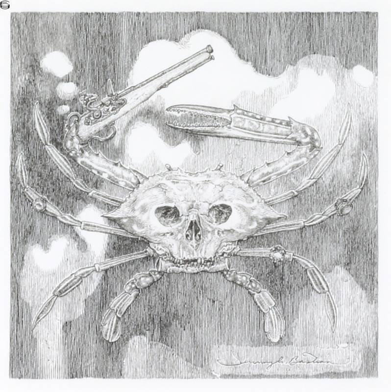 Skull Crab no. 20