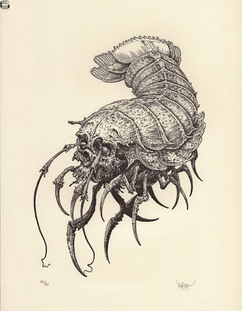 Skull Isopod
