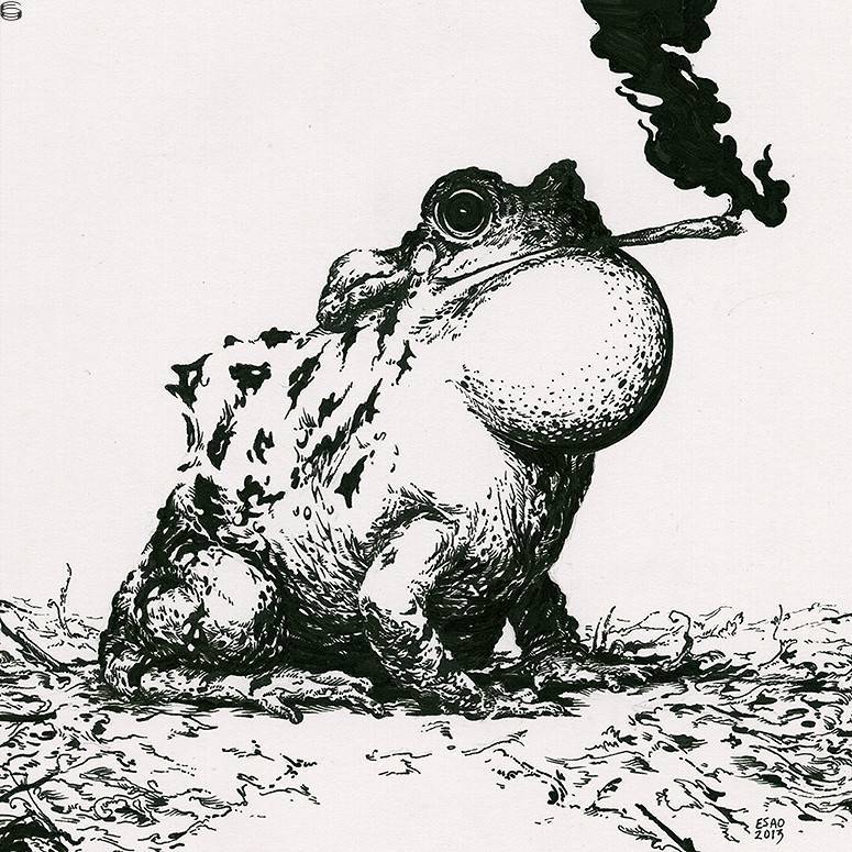 Smoking Toad