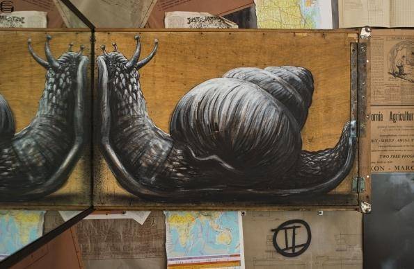 Snail Dissection/Reflection