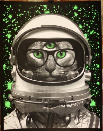 Space Kitty 14