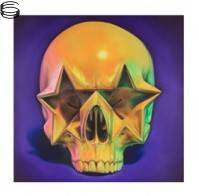 Star Skull 14