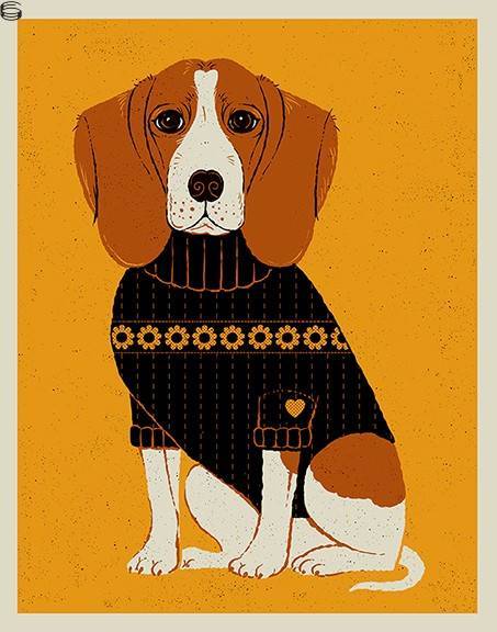 Beagle in a Sweater 18