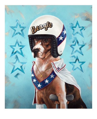 Beagle Knievel