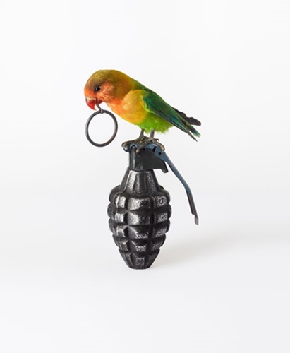 Lovebird With Grenade