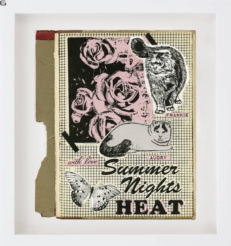 Summer Nights Book Cover