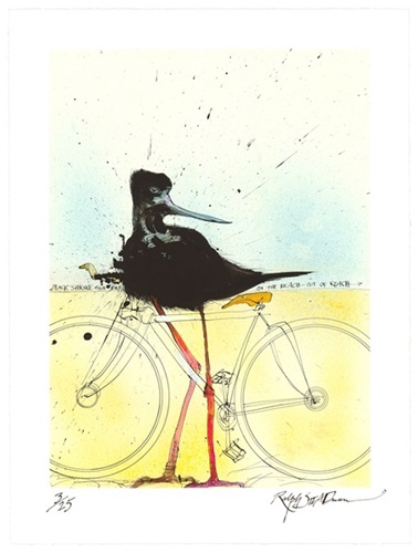 Black Shrike On A Bike
