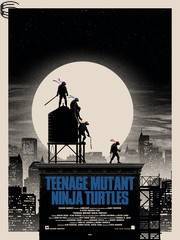 Teenage Mutant Ninja Turtles 14