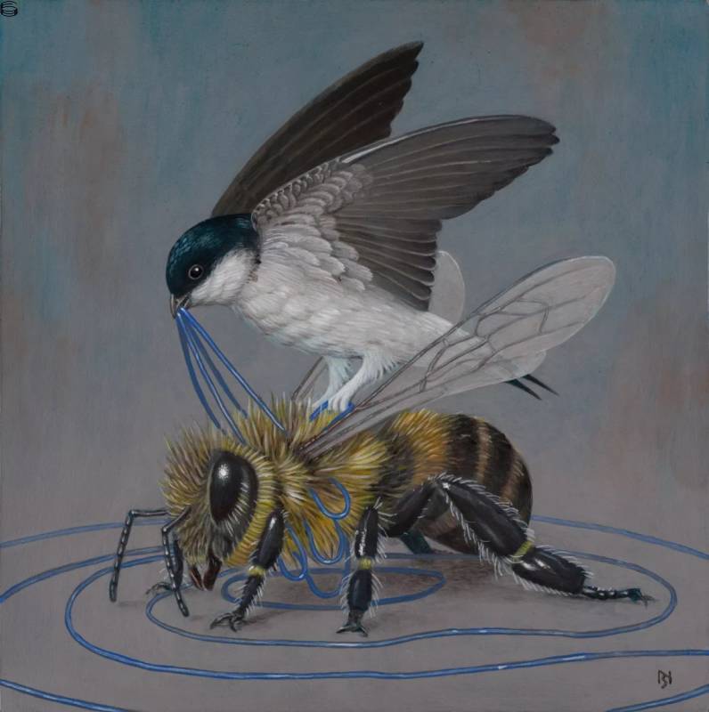 Bee and Bird