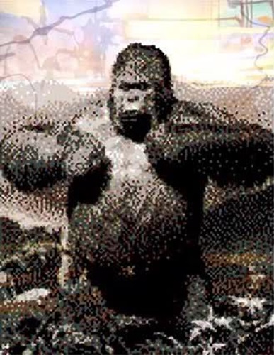 The Ape Faxt
