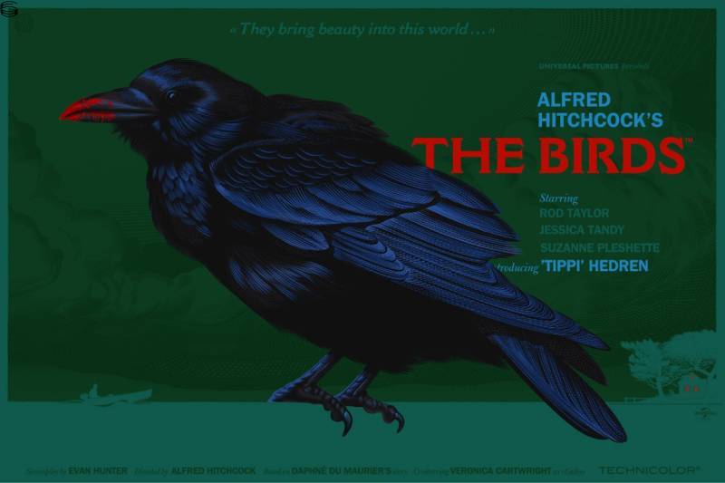 The Birds (They Bring Beauty)