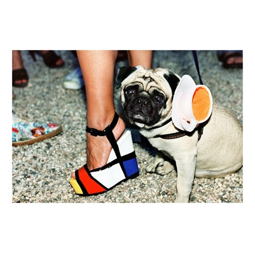 Mondrian Pug