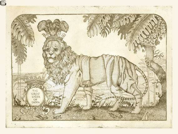 The Great Liger of India