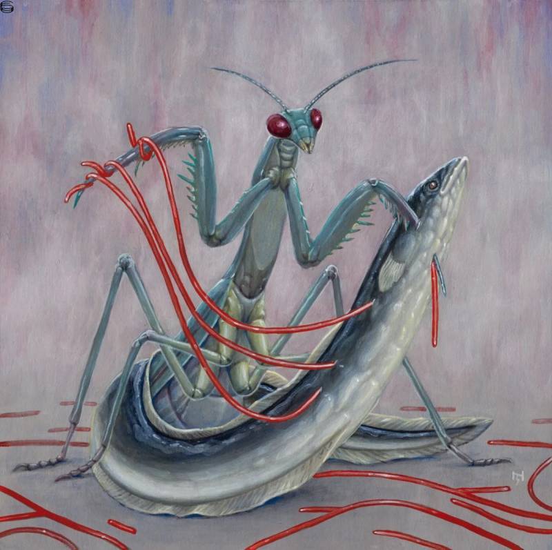 Nick Sheehy - The Mantis