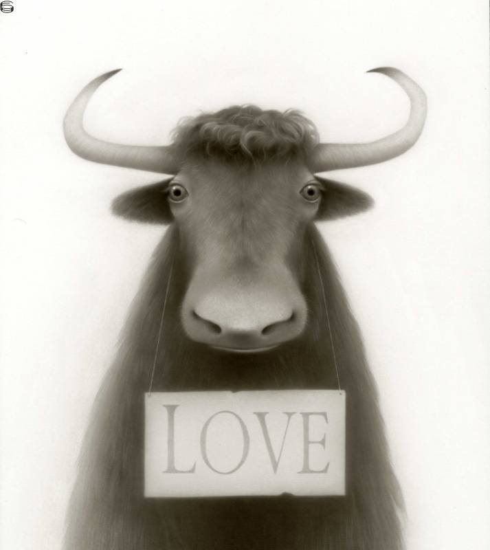 The Yak of Love