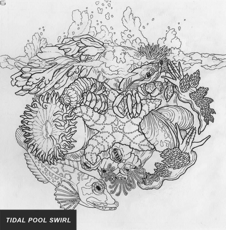 Tidal Pool Swirl 16