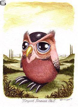 Torpid Prairie Owl 04