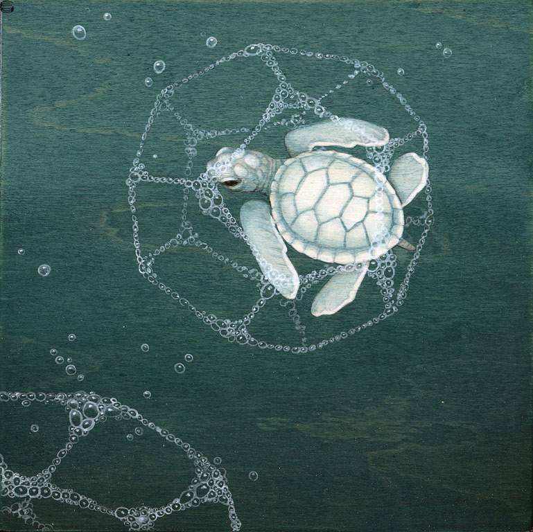Turtle Hexagon