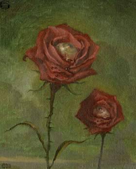 Virgin Roses 07