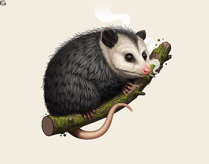 Mike Mitchell - Virginia Opossum - Doobie Variant Edition