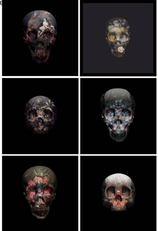 Vol. 1: Skulls