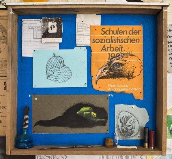 Bird Study Box