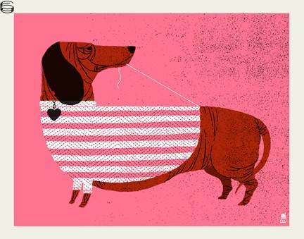 Weiner Dog in a Sweater 15