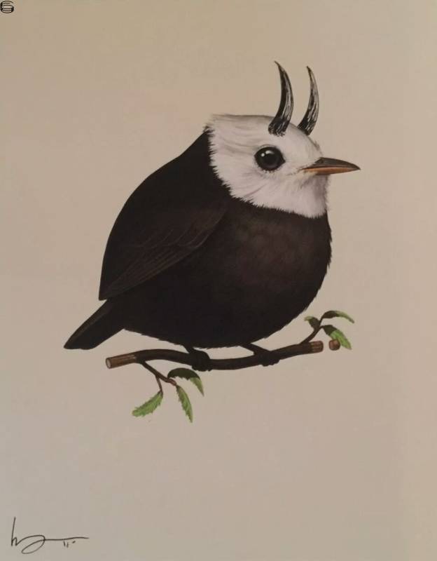 Mike Mitchell - White-Headed Marsh Tyrant - Horns HPM Edition