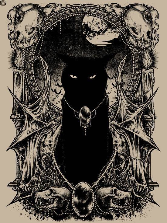 Black Cat