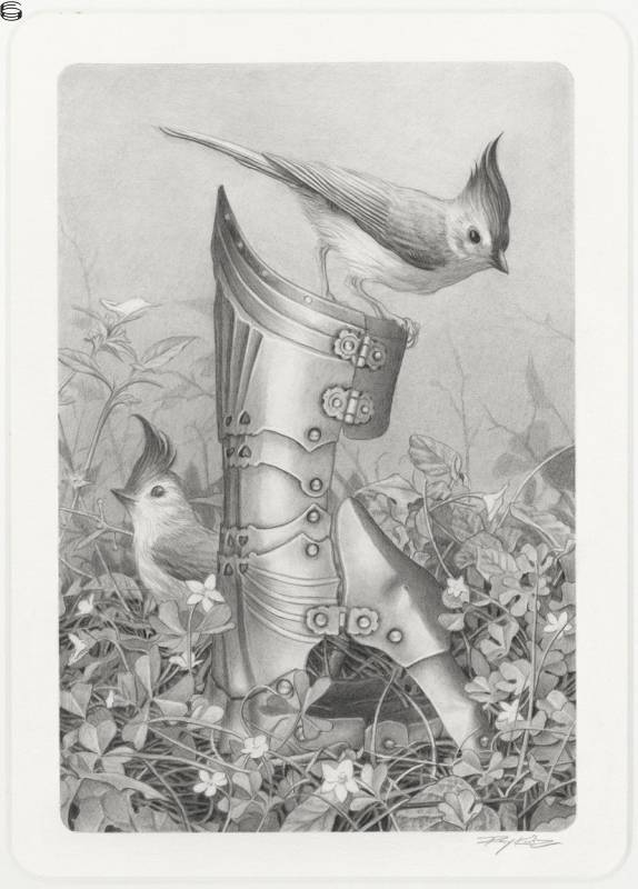 Rory Kurtz - Black Crested Titmouse and Gauntlet - Print Edition