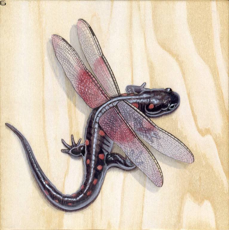 Winged Salamander