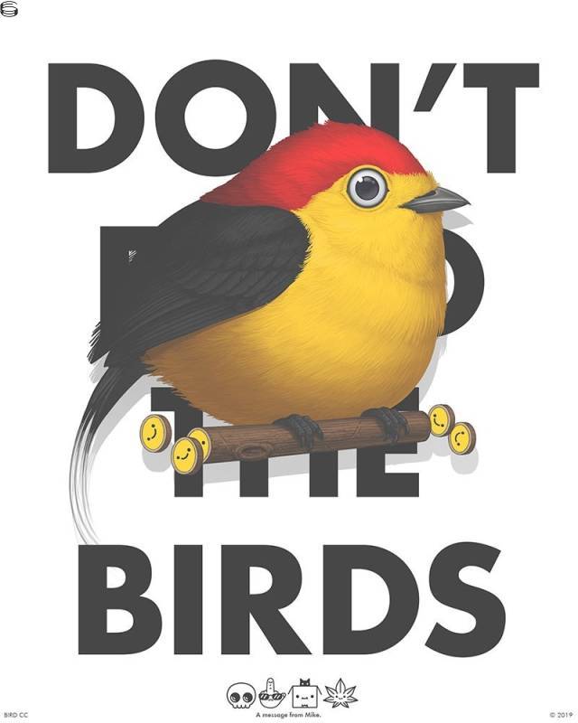 Mike Mitchell - Wire-tailed Manakin 19 - PSA Edition