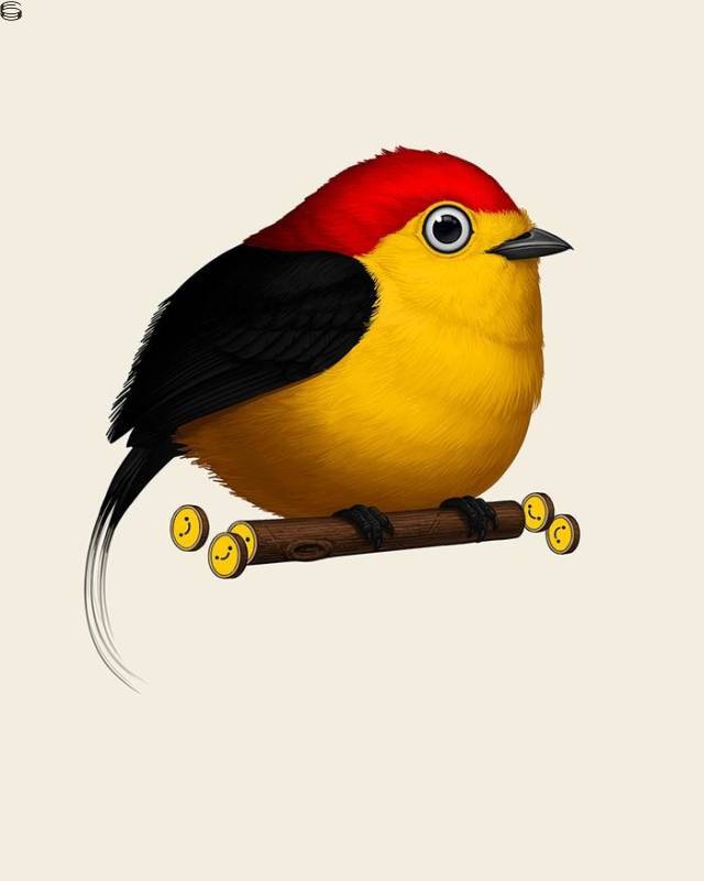 Mike Mitchell - Wire-tailed Manakin 19 - Regular Edition