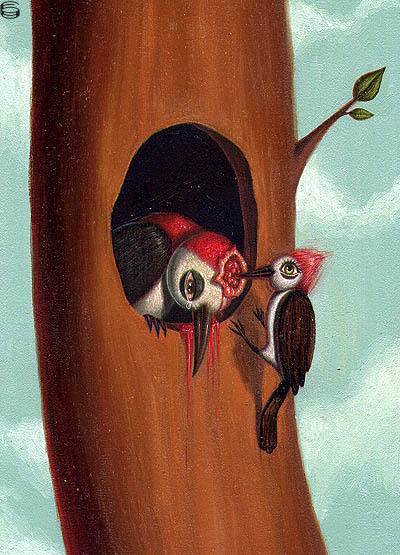 Woodpeckers 06