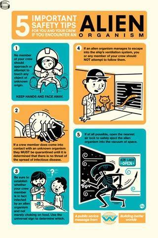 5 Important Safety Tips...