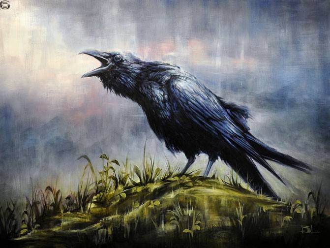 Blue Coast Crow