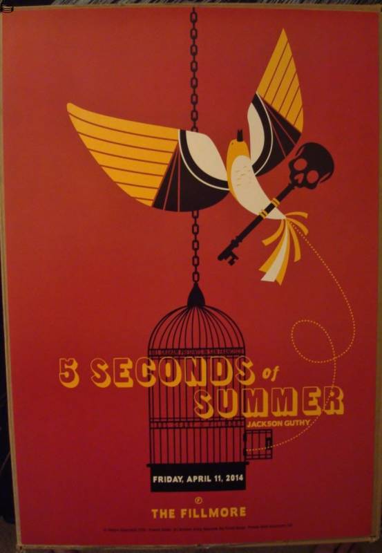 5 Seconds of Summer SF 14
