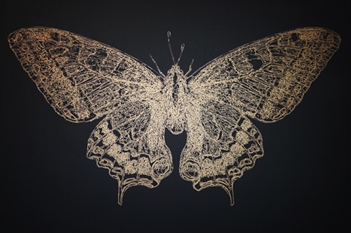 Noa Prints - Butterfly - First Edition