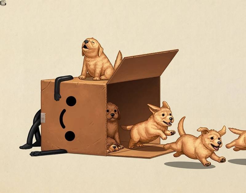 Mike Mitchell - Boxo II - Regular Edition