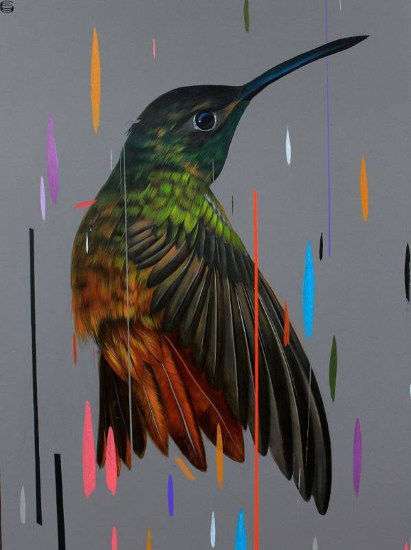 Frank Gonzales - Buff Breasted Hummingbird - First Edition