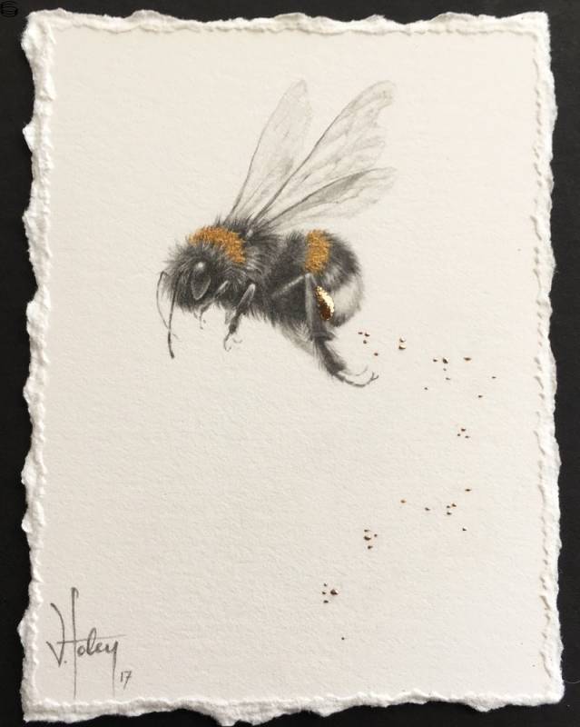 Vanessa Foley - Buff-Tailed Bee and Pollen [2017 Series 4] - #2 Edition