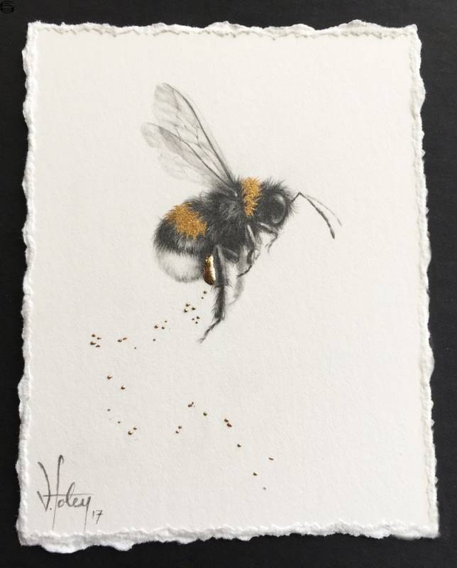Vanessa Foley - Buff-Tailed Bee and Pollen [2017 Series 4] - #3 Edition