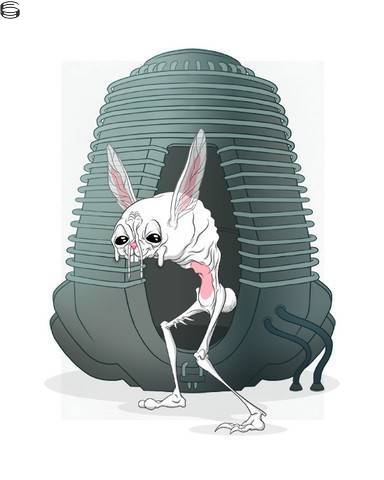 Bunnywith A Little Teleportation Mixup