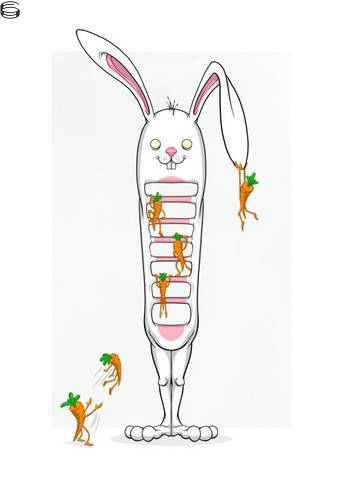 Bunnywith Rungs