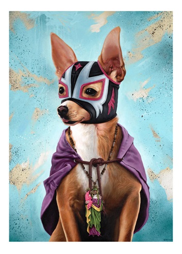 Luchahuahua