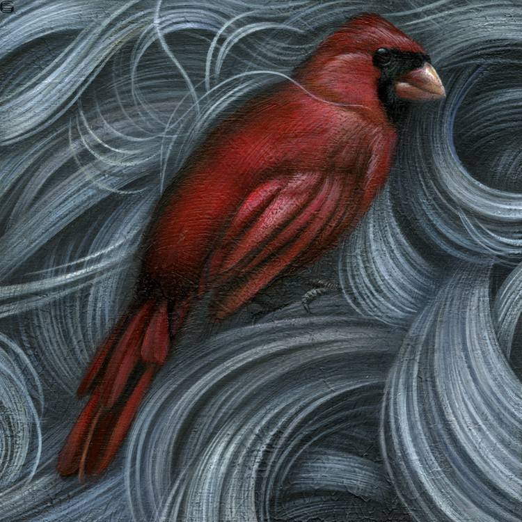 Cardinal 13