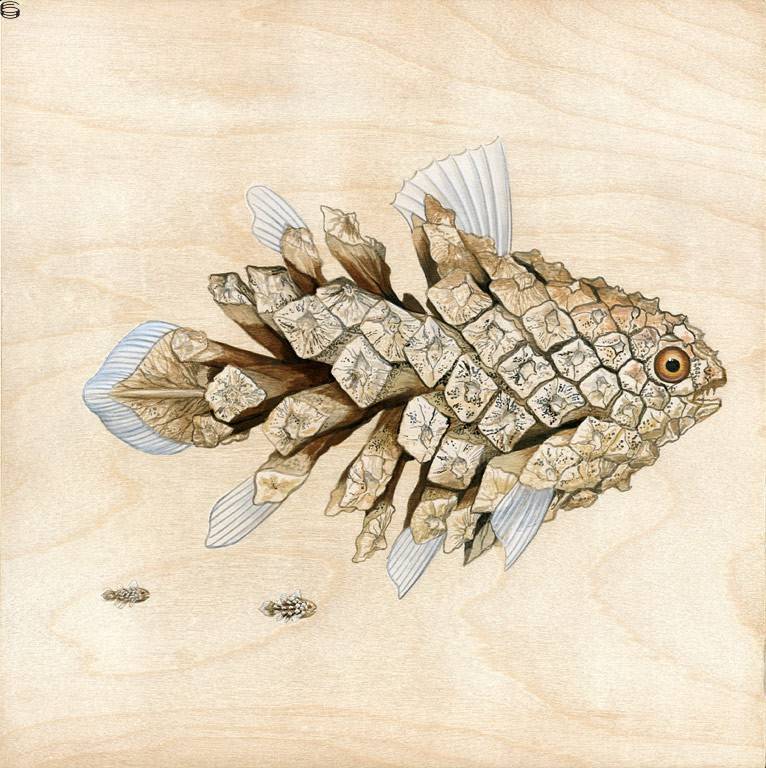Coelicanth Pinecone Fish