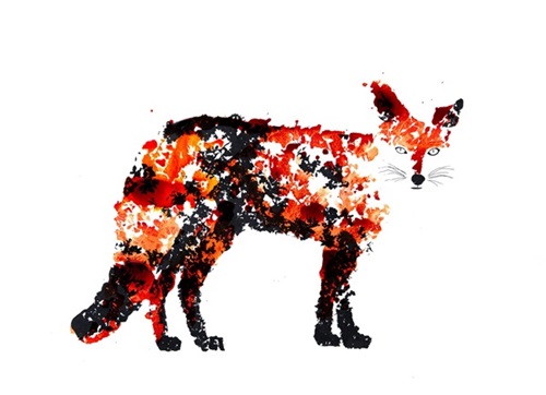 Rob Wass - The Fox